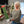 Load image into Gallery viewer, Pacific Northwest Advent Calendar
