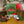 Load image into Gallery viewer, Arkansas 2026 Advent Calendar
