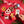 Load image into Gallery viewer, Mid-Atlantic Advent Calendar
