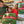 Load image into Gallery viewer, Illinois 2026 Advent Calendar
