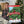 Load image into Gallery viewer, Upstate New York Advent Calendar
