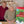 Load and play video in Gallery viewer, Mid-Atlantic Advent Calendar
