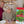 Load and play video in Gallery viewer, Upstate New York Advent Calendar
