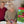 Load and play video in Gallery viewer, Georgia Advent Calendar
